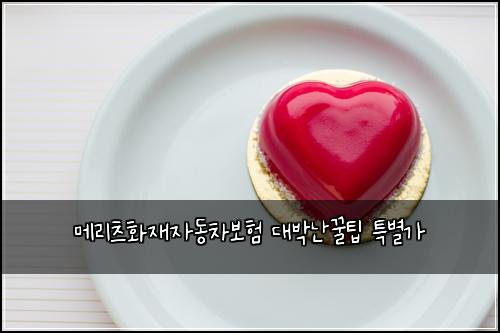 메리츠화재자동차보험 대박난꿀팁  특별가