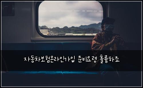 자동차보험온라인가입 준비요령 훌륭하죠