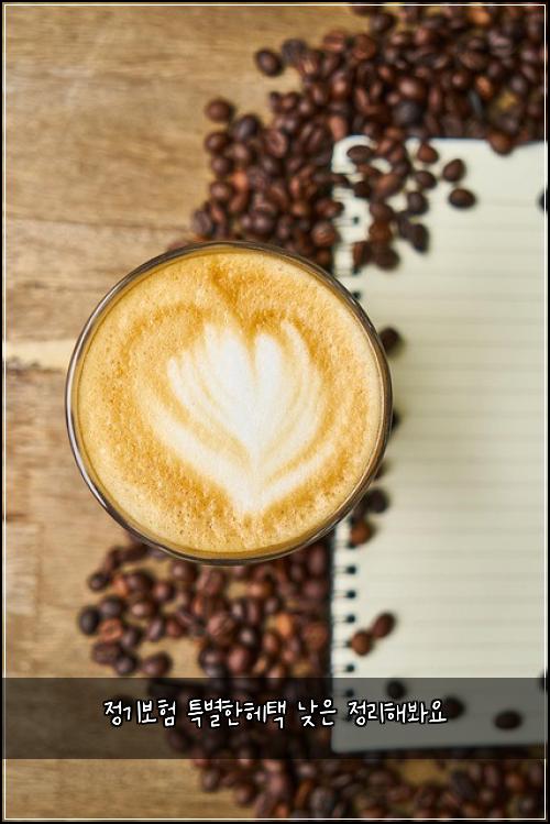 정기보험 특별한헤택  낮은 정리해봐요