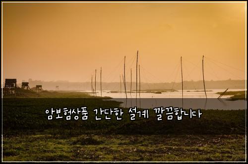 암보험상품 간단한 설계 깔끔합니다