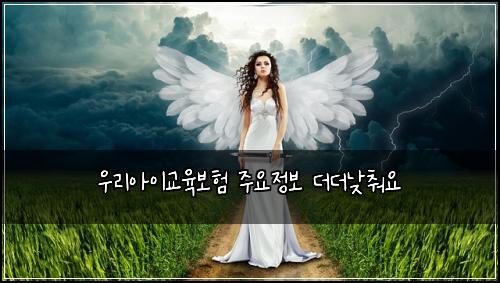 우리아이교육보험 주요정보  더더낮춰요