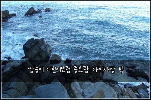 쌍둥이 어린이보험 중요함  아이사랑 빅