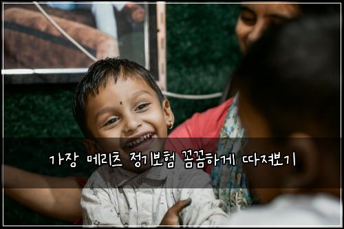 가장 메리츠 정기보험 꼼꼼하게 따져보기