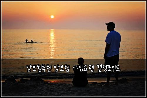 ์๋ณดํ์ถ์ฒ ์๋ณดํ ๊ฐ์
์๋ น ๊ฒฐ์ ํฌ์ธํธ