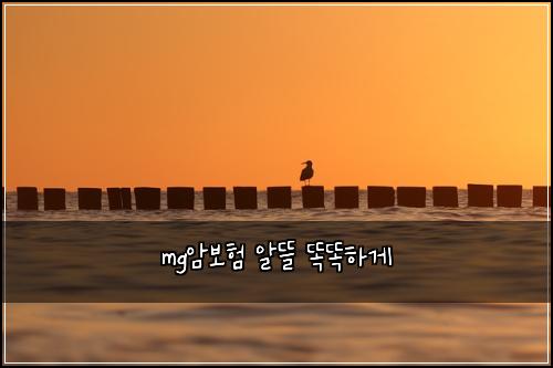 mg암보험 알뜰  똑똑하게
