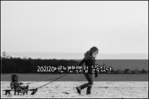 202120์ด๋ฆฐ์ด๋ณ์ก๋ณดํ ์ค์์๋ค