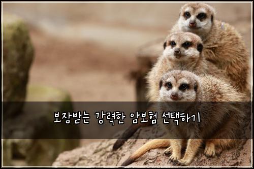 보장받는 강력한 암보험 선택하기