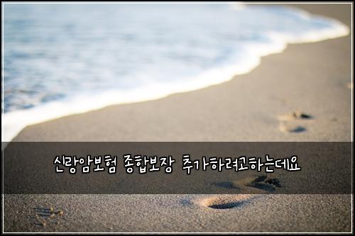 신랑암보험 종합보장  추가하려고하는데요