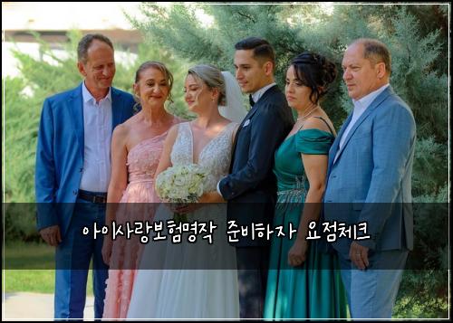 ์์ด์ฌ๋๋ณดํ๋ช
์ ์ค๋นํ์ ์์ ์ฒดํฌ