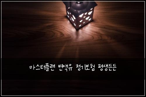 마스터플랜 변액유 정기보험 평생든든 