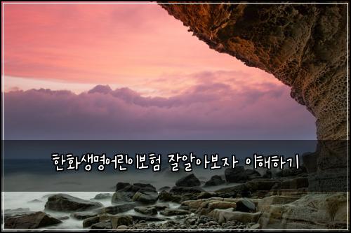 한화생명어린이보험 잘알아보자  이해하기