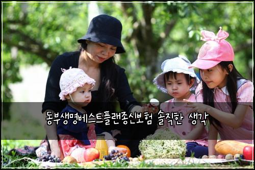 동부생명베스트플랜종신보험 솔직한 생각