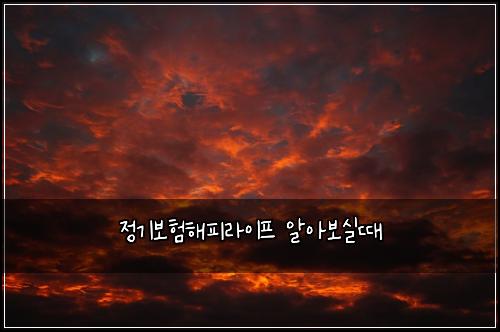 정기보험해피라이프 알아보실때