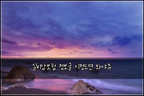 실비암보험 정보글  이정도면 봐야쥬