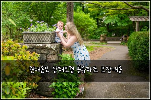 현대손보 상해보험 공유하죠  보장내용