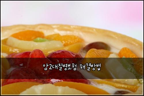 암2대질병보험 해결방법 