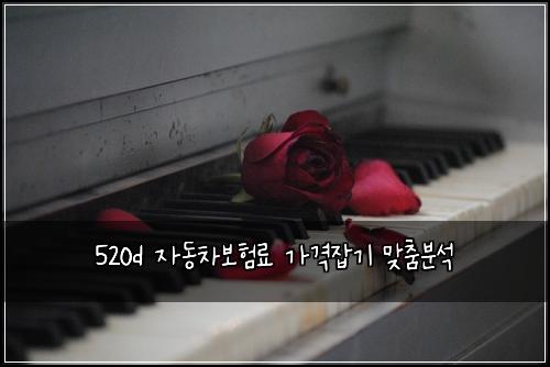520d ์๋์ฐจ๋ณดํ๋ฃ ๊ฐ๊ฒฉ์ก๊ธฐ ๋ง์ถค๋ถ์
