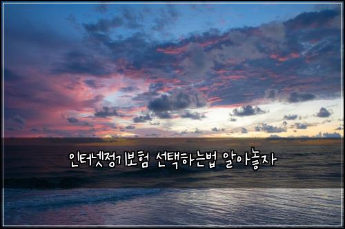 인터넷정기보험 선택하는법  알아놓자