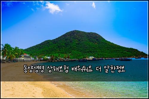 동양생명 상해보험 배워둬요  더 알찬정보