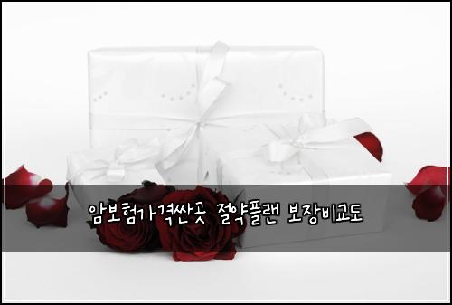 ์๋ณดํ๊ฐ๊ฒฉ์ผ๊ณณ ์ ์ฝํ๋ ๋ณด์ฅ๋น๊ต๋