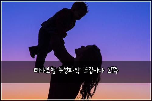 태아보험 특성파악  드립니다 27주