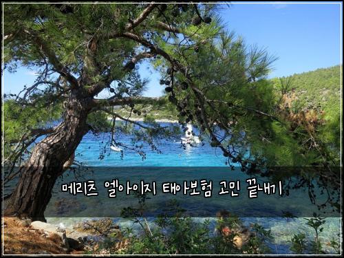 메리츠 엘아이지 태아보험 고민 끝내기