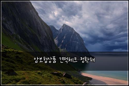 암보험상품 견적체크 정확해