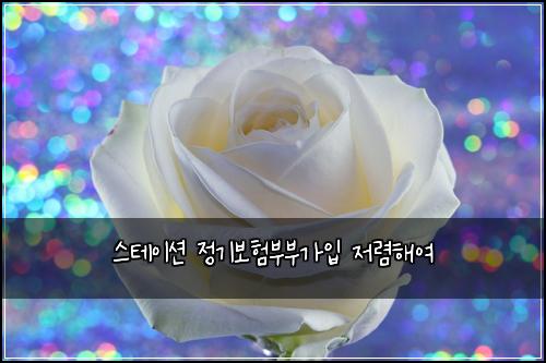 스테이션 정기보험부부가입 저렴해여