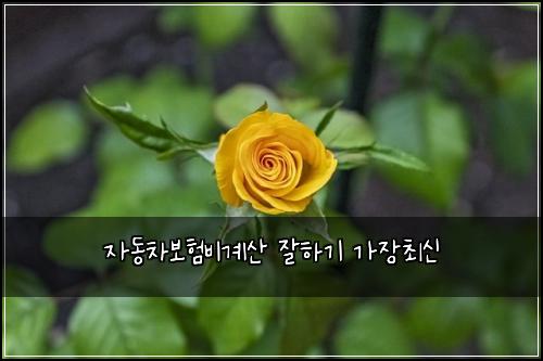 ์๋์ฐจ๋ณดํ๋น๊ณ์ฐ ์ํ๊ธฐ ๊ฐ์ฅ์ต์