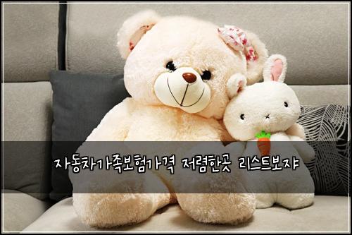 자동차가족보험가격 저렴한곳 리스트보쟈