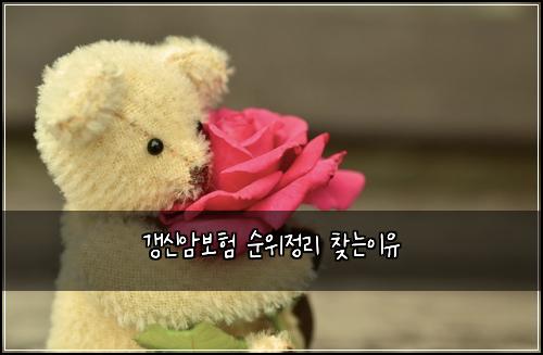 갱신암보험 순위정리  찾는이유