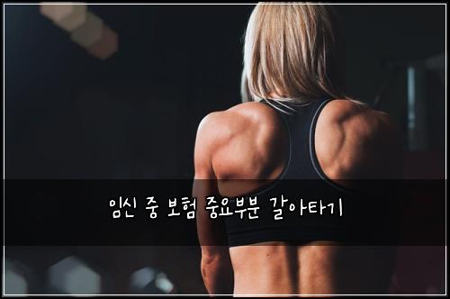 임신 중 보험 중요부분  갈아타기