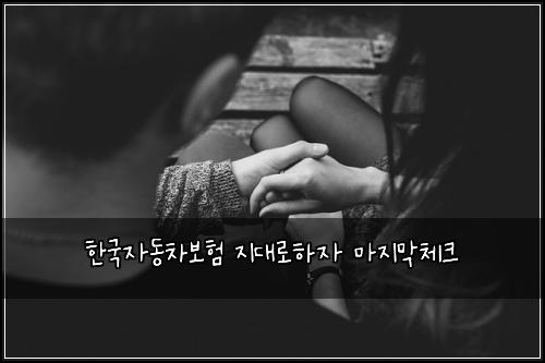한국자동차보험 지대로하자  마지막체크