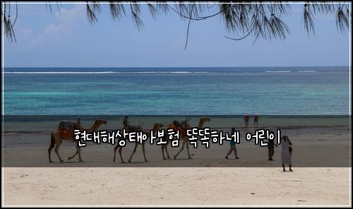 현대해상태아보험 똑똑하네  어린이