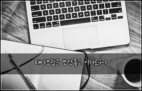 ํ์๋ณดํ์ ๋ณด์ฅ์ข๊ณ ์ด๊ฑฐ๋ก๊ตฌ๋