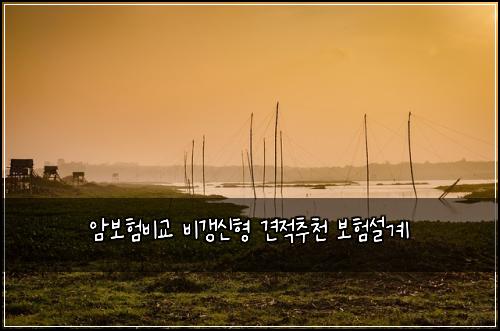 ์๋ณดํ๋น๊ต ๋น๊ฐฑ์ ํ ๊ฒฌ์ ์ถ์ฒ ๋ณดํ์ค๊ณ