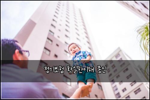 정기보험 확실한이해  종신