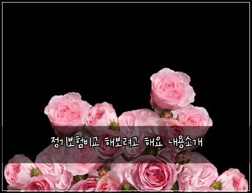 정기보험비교 해보려고 해요 내용소개