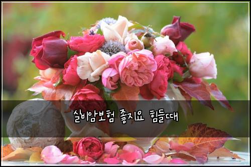 실비암보험 좋지요  힘들때