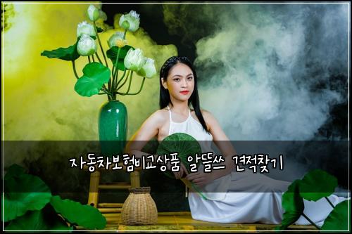 자동차보험비교상품 알뜰쓰 견적찾기