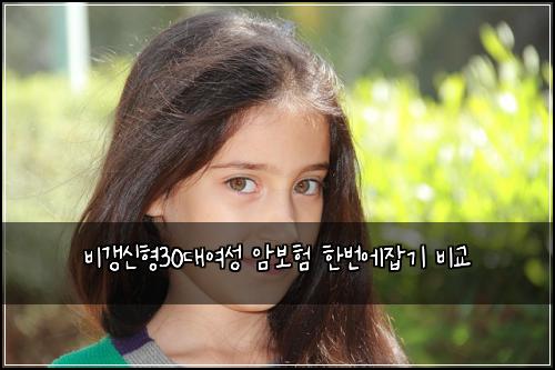 비갱신형30대여성 암보험 한번에잡기  비교