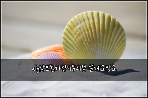aig암보험가입시유의점 설계요망요
