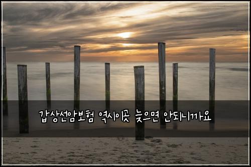 갑상선암보험 역시이곳  늦으면 안되니까요