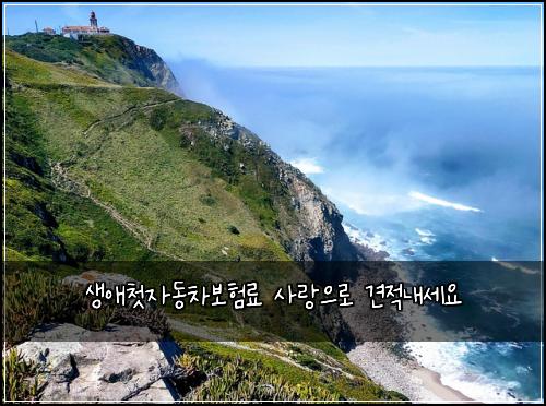 생애첫자동차보험료 사랑으로 견적내세요