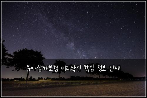 μ μμν΄λ³΄ν 미리νμΈ ν΅μ¬ μ 보 μλ΄