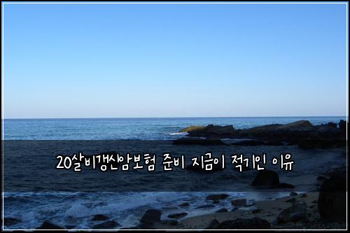 20살비갱신암보험 준비 지금이 적기인 이유