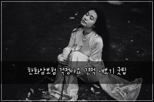 한화암보험 걱정마요  견적 내보기 굿팁