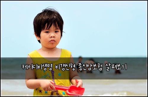케이디비생명 비갱신형 종신암보험 살펴보기