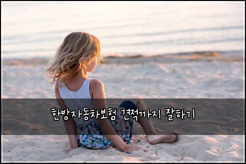 한방자동차보험 견적까지  잘하기