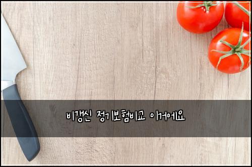 비갱신 정기보험비교 이거에요